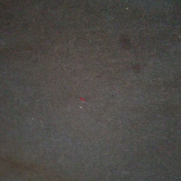 Graphic T. - Picture 3 of 3